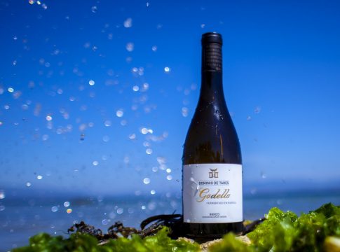 Godello FB para verano