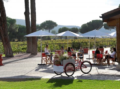 Terraza Wine Bar Finca Villacreces